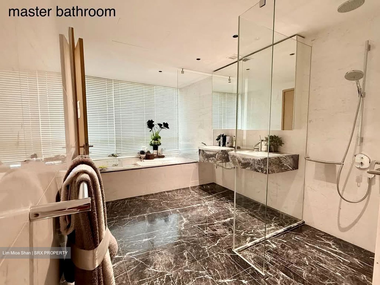 Park Street (D1), Condominium #557376771